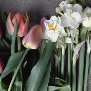 Narzissen & Tulpen Strauß