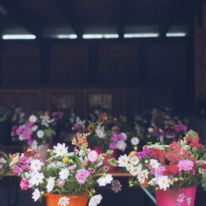 Workshops